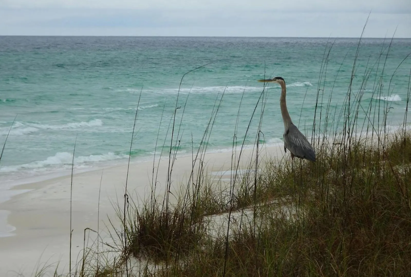 Beachside Sunrise Beautiful 4 Bedroom 2 Bath Spacious And Serene Panama City Beach 0*,